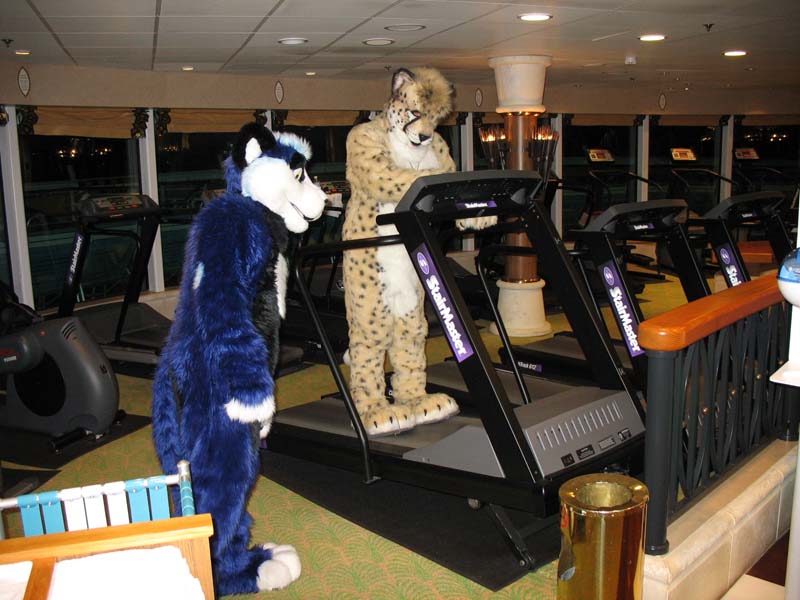 098 cosmo treadmill.jpg